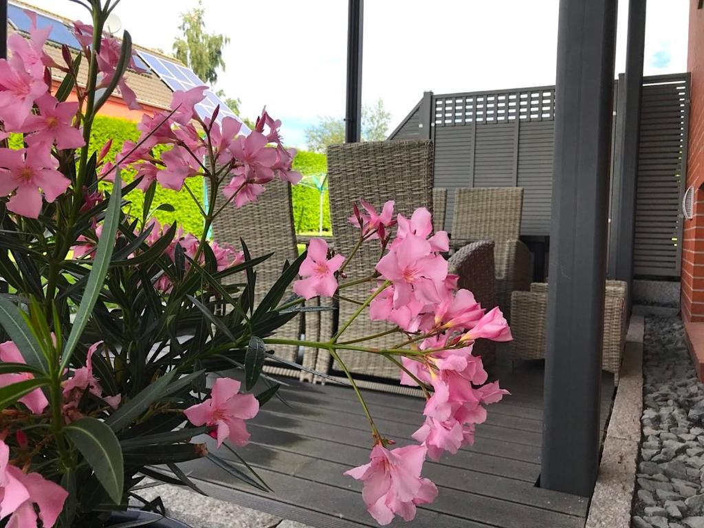 Apartmán Haus Im Gruenen Heringsdorf  Exteriér fotografie